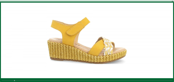 DIVINE DE PITILLOS