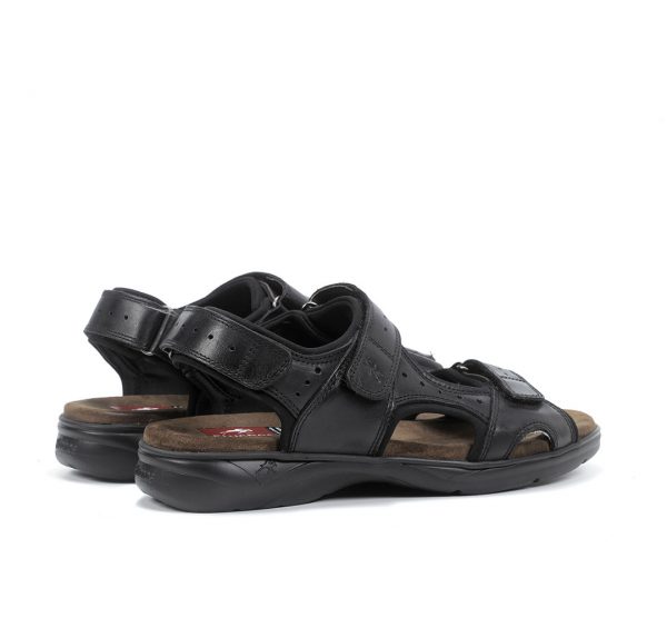 FRANKLIN DE FLUCHOS – Image 5