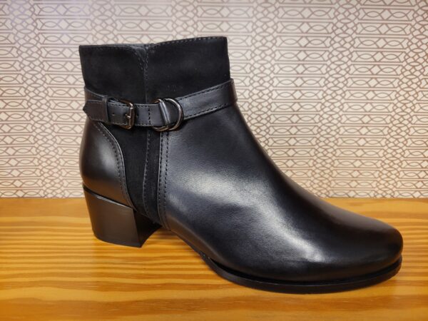 JOLENE 23 DE RLC