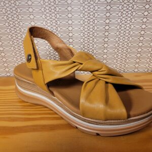 FELINE DE PAULA URBAN