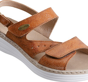 KATRINA DE BASICS EUROPE