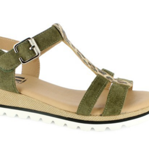 MAGNACO DE GEO REINO