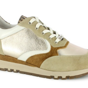 ZOLDING DE GEO REINO